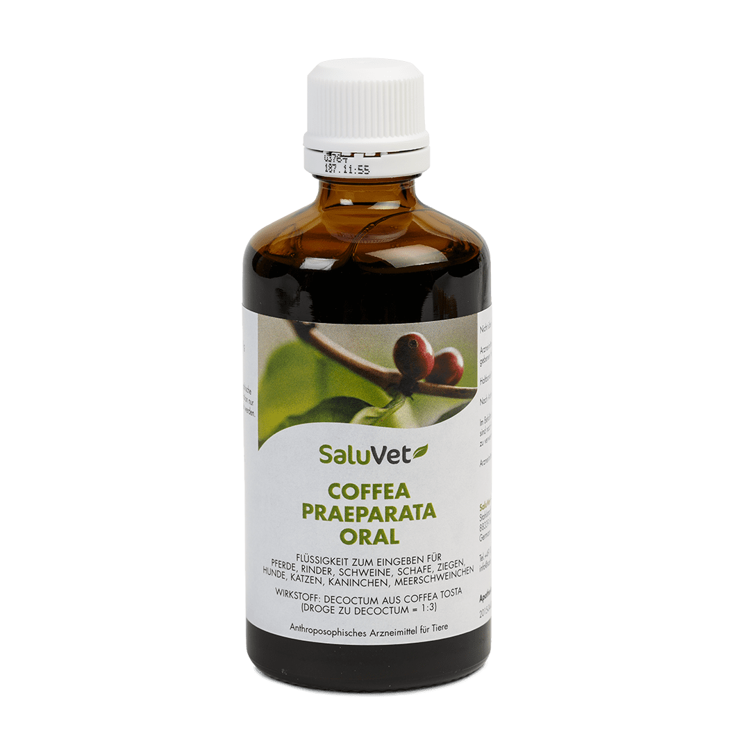 Coffea praeparata oral - Tropfflasche 100 ml 