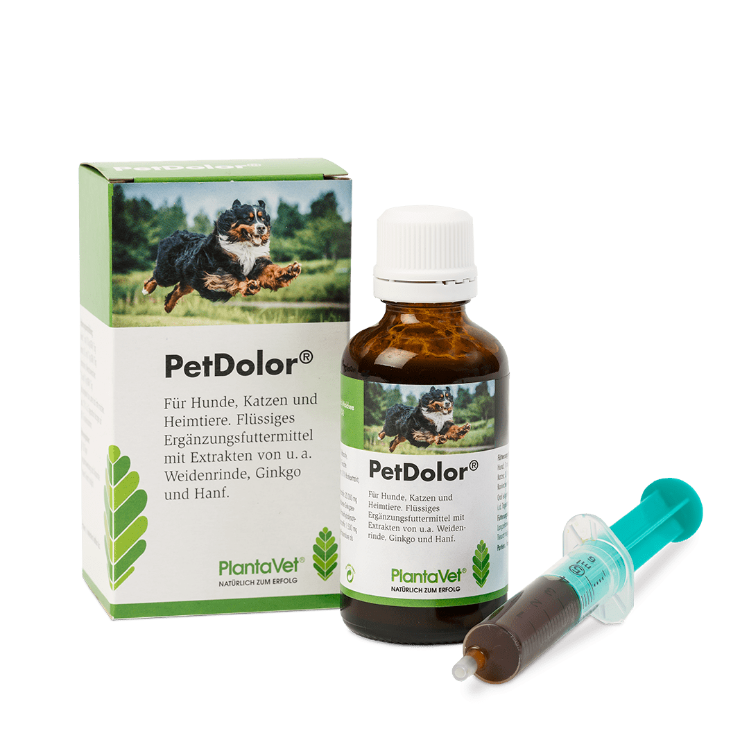 PetDolor® - Flasche mit Verpackung und Spritze