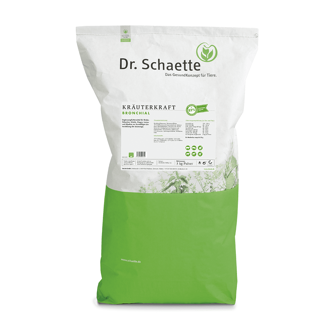 Kräuterkraft Bronchial 3 kg (Pulver)
