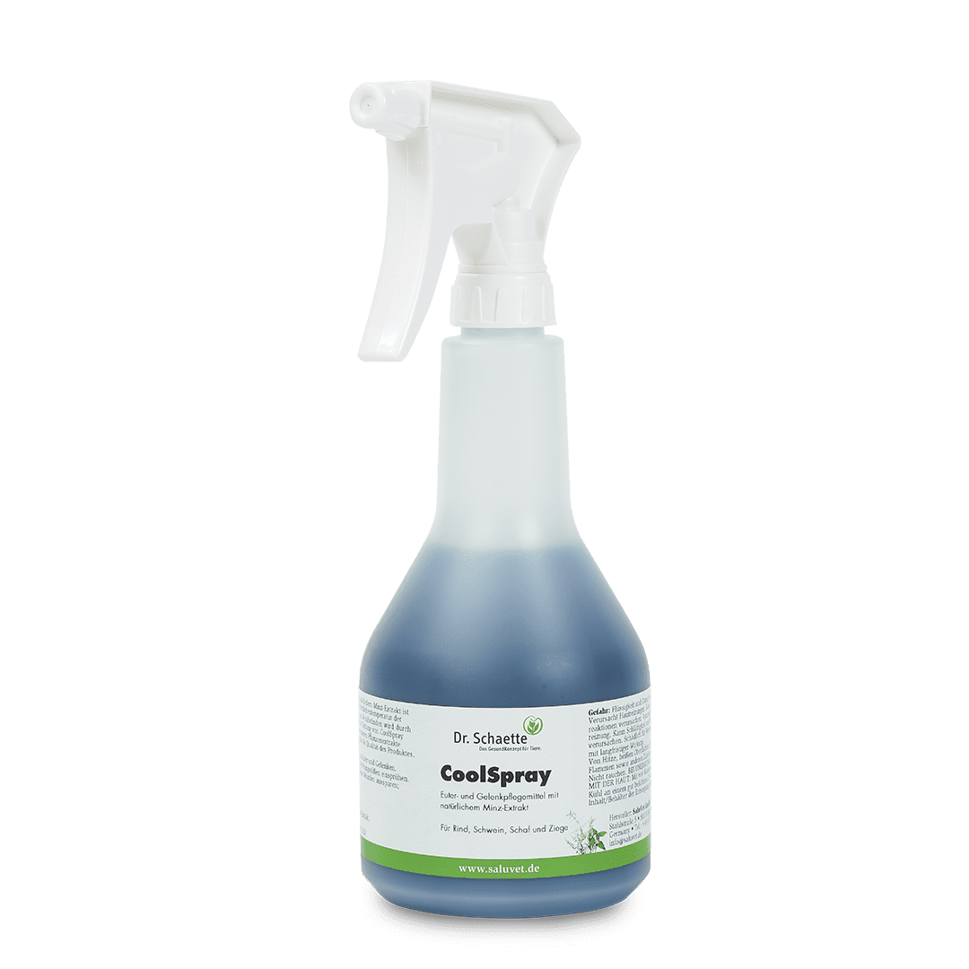 CoolSpray 500 ml