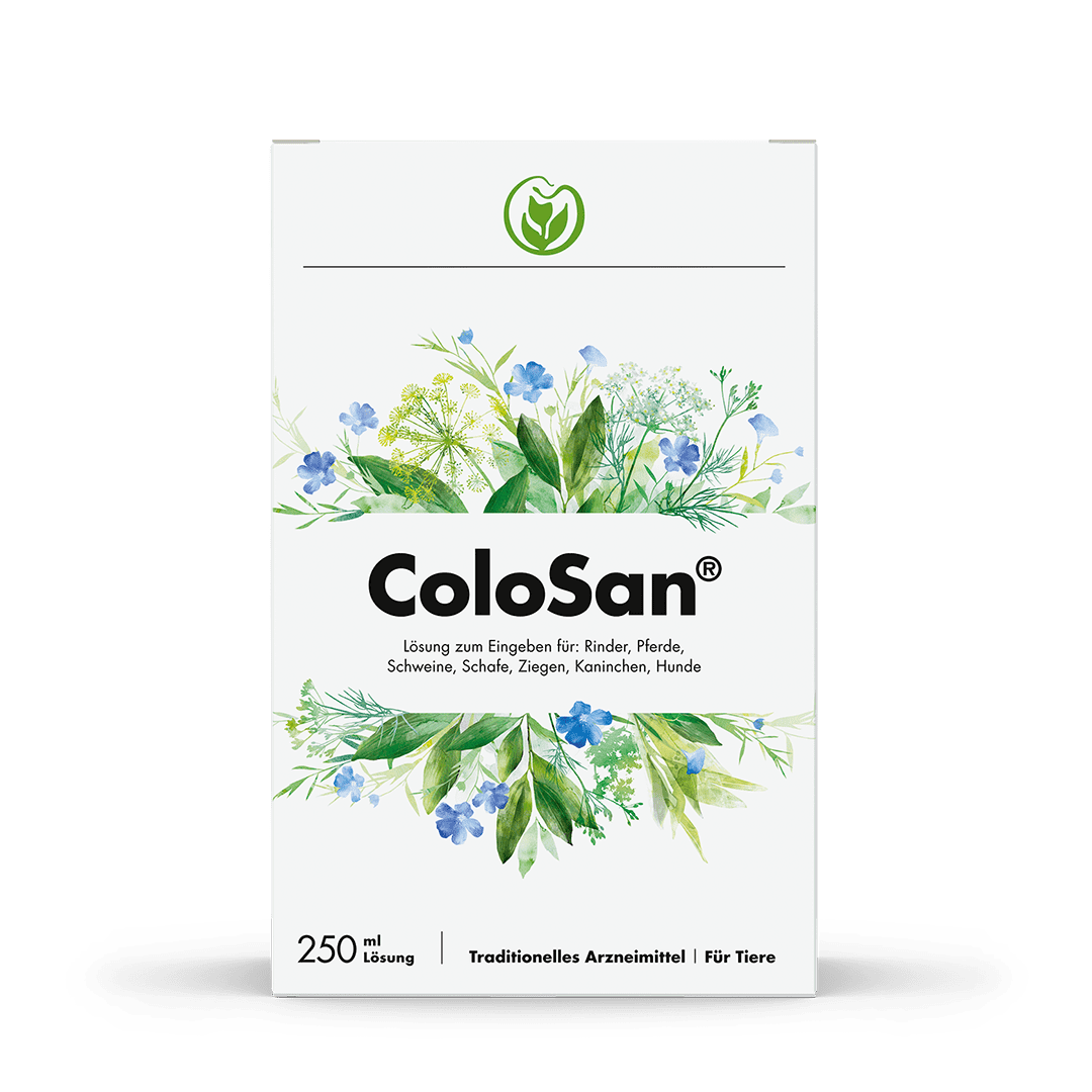 ColoSan® 250 ml in der Glasflasche - Verpackung