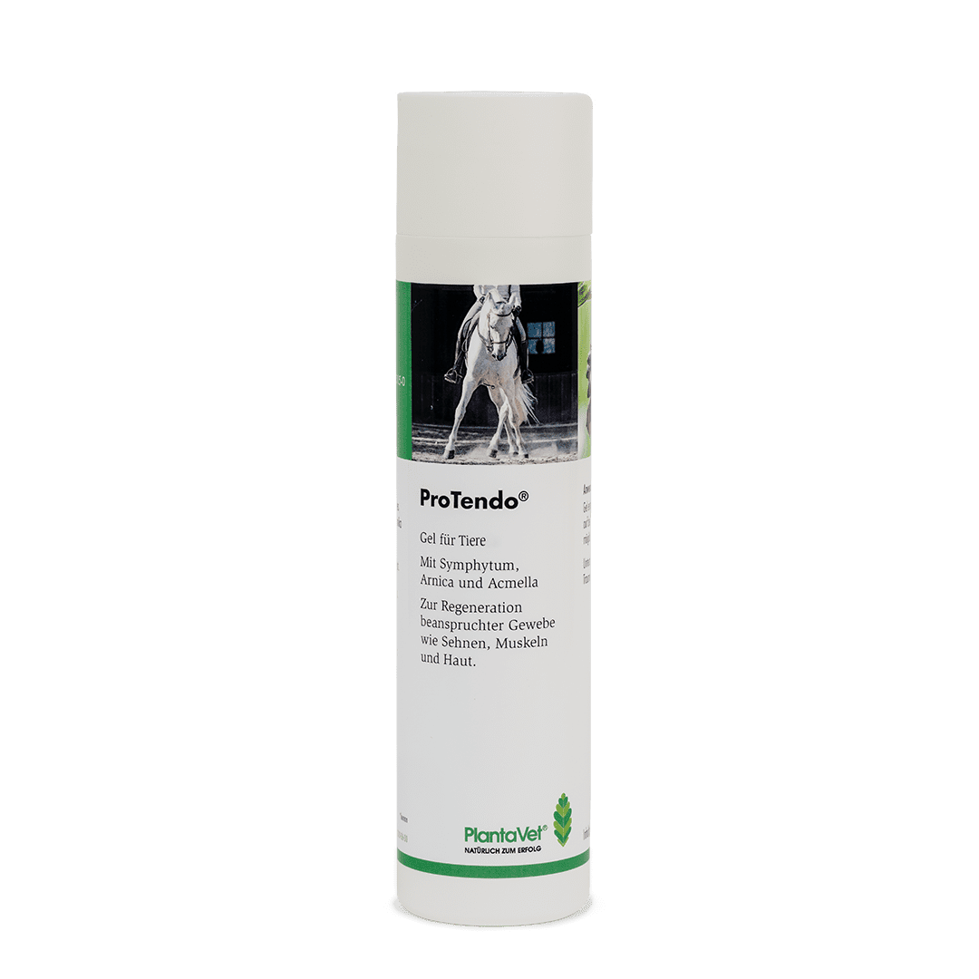ProTendo® - Gel 250 ml