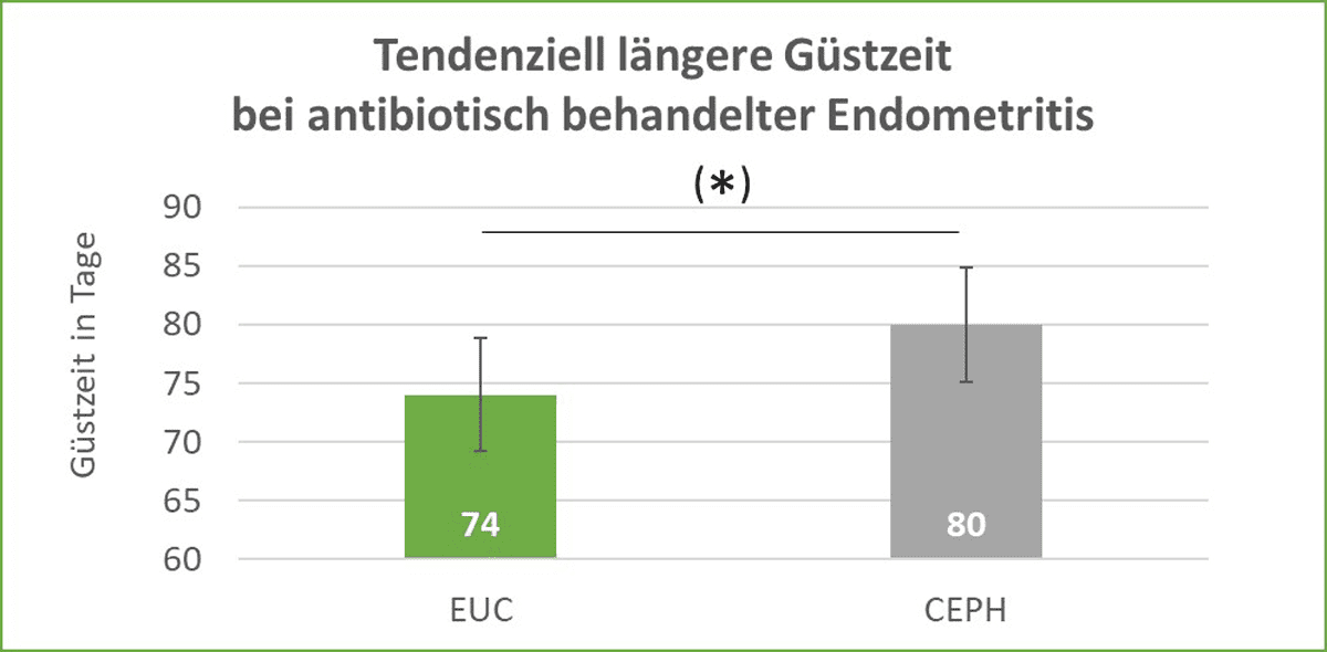 Güstzeit