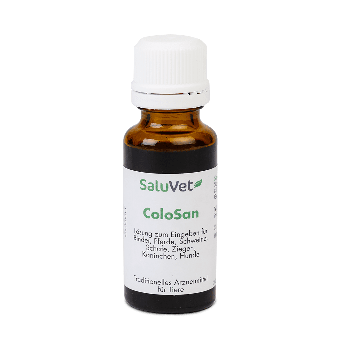 ColoSan® 20 ml (flüssig) 