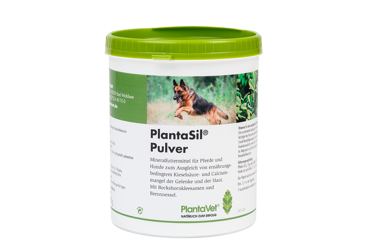 PlantaSil® - Dose 500 g Pulver