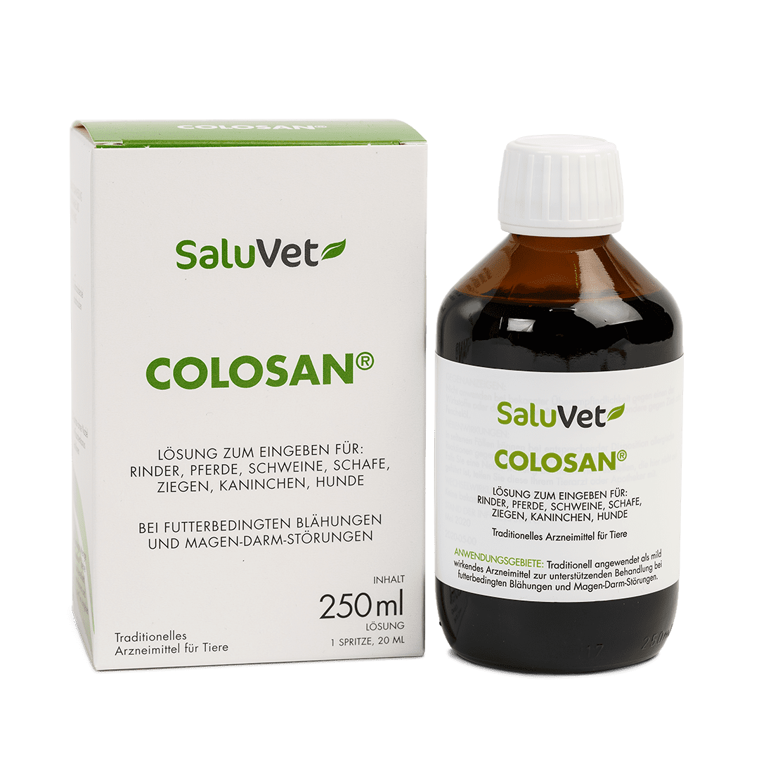 ColoSan® 250 ml + Verpackung