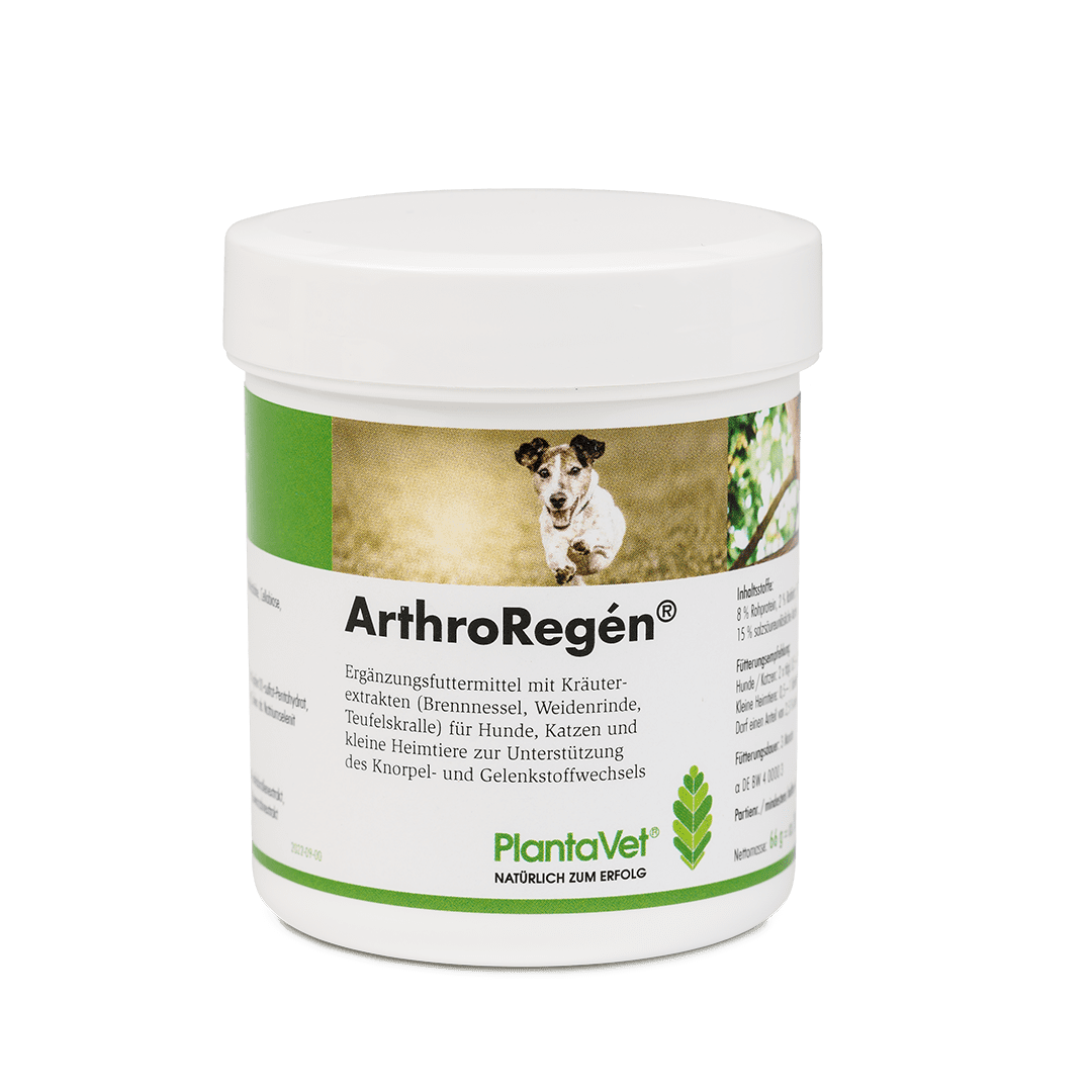 ArthroRegén® - Tabletten 300
