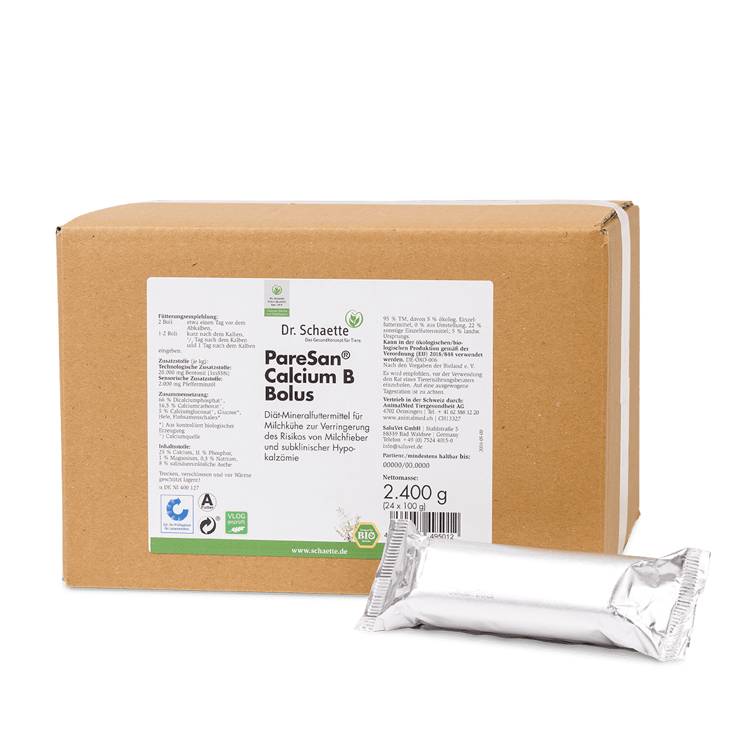 PareSan® Calcium B Bolus 24 x 110 g mit Bolus