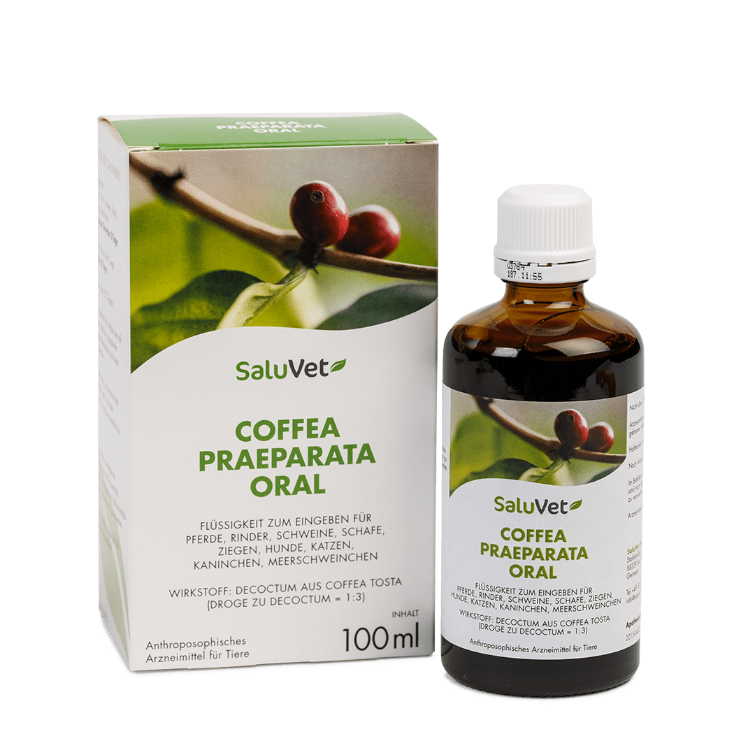 Coffea praeparata oral - Tropfflasche 100 ml mit Verpackung