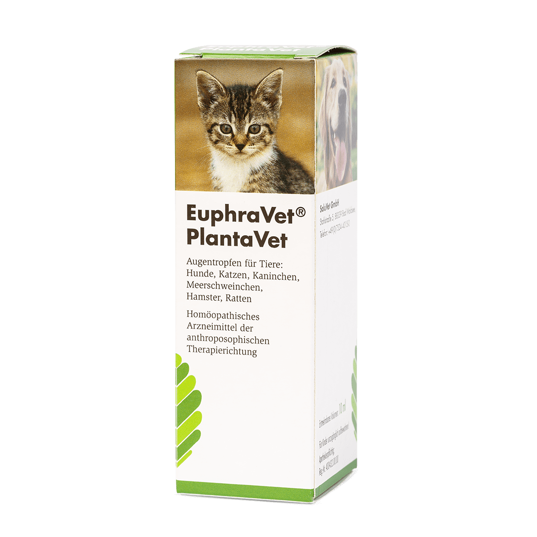 EuphraVet® PlantaVet -  Pumpspender Augentropfen Verpackung