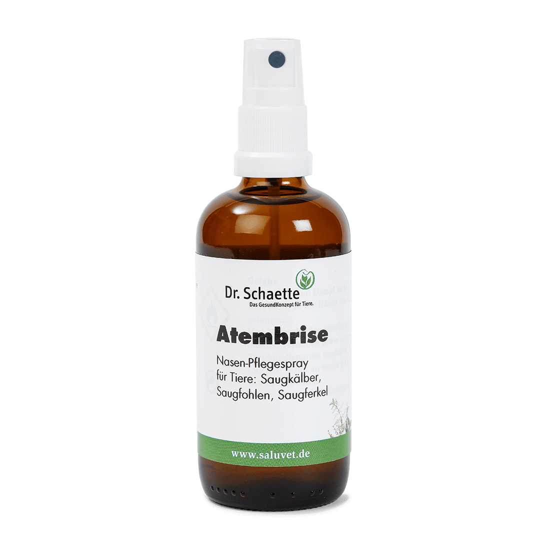 Atembrise