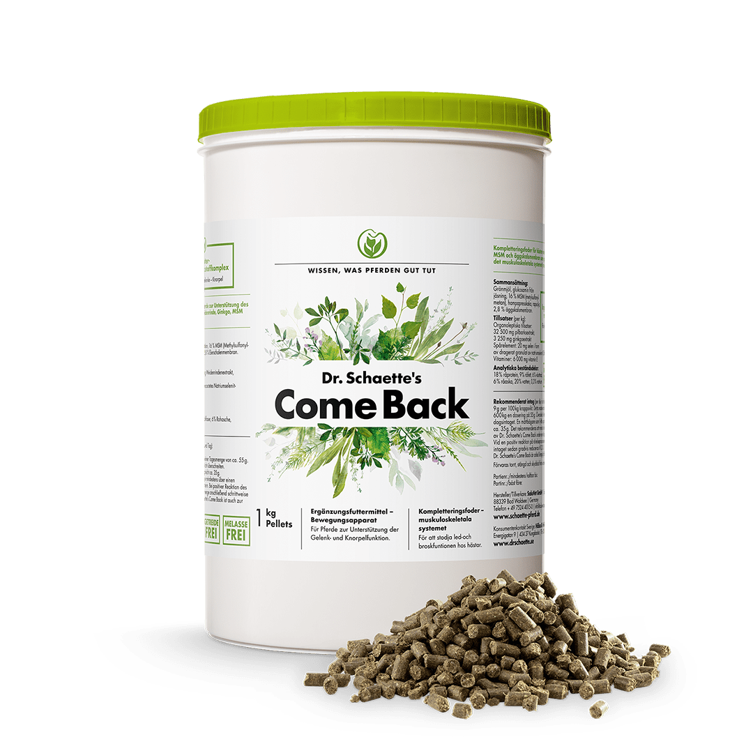 Dr. Schaette´s Come Back 1 kg