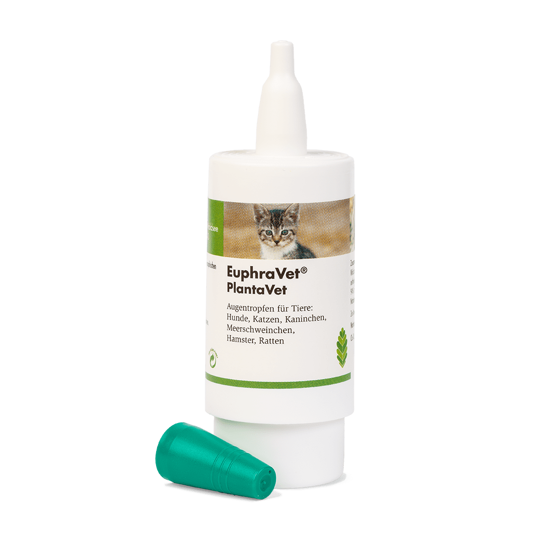 EuphraVet® PlantaVet -  Pumpspender Augentropfen ohne Deckel