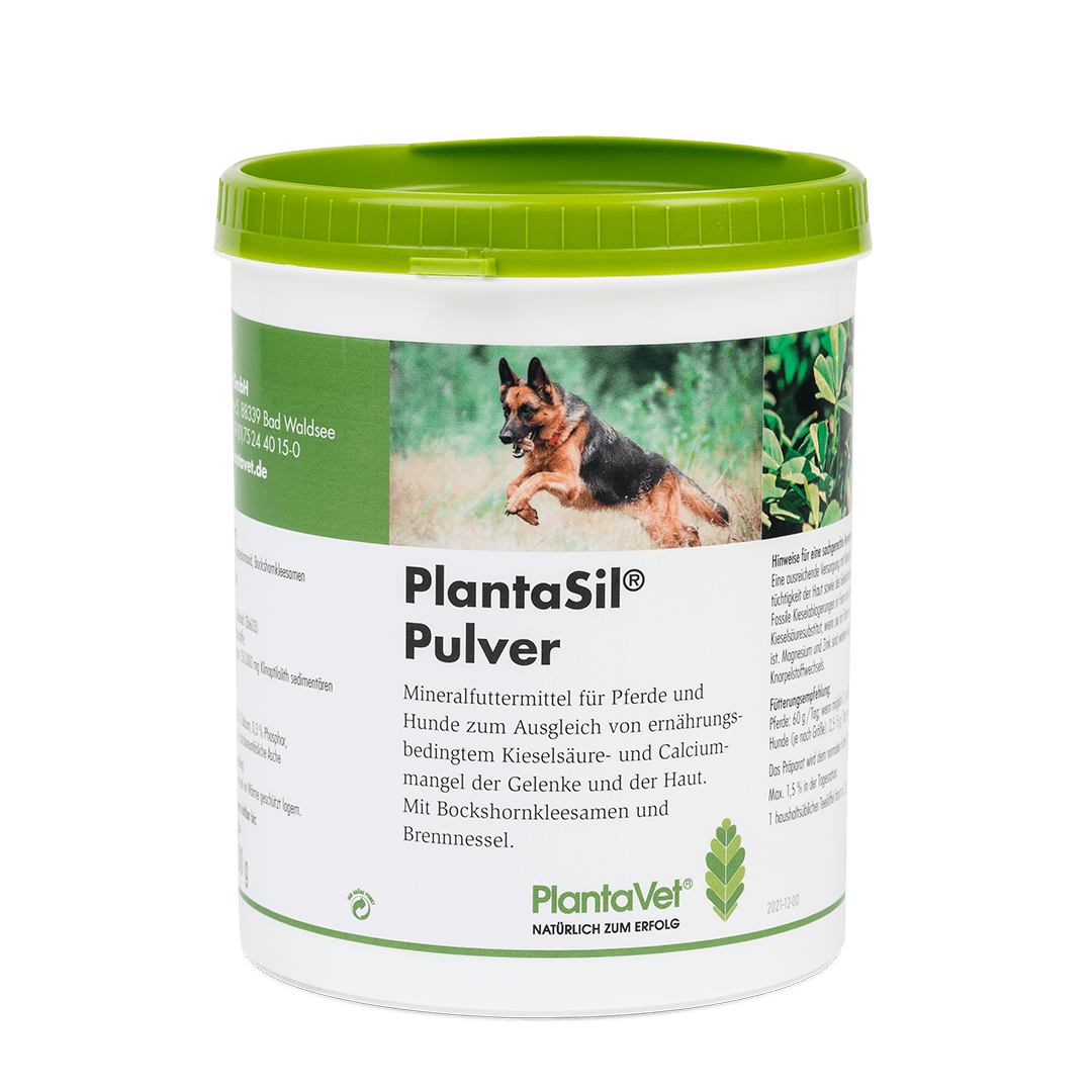 PlantaSil® - Dose 500 g Pulver