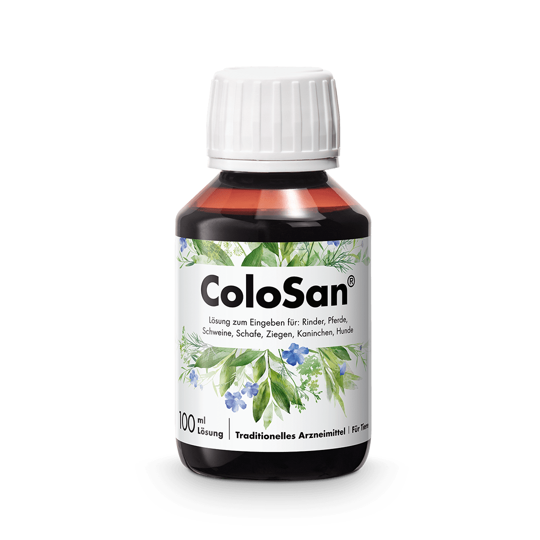 ColoSan® 100 ml in der Glasflasche