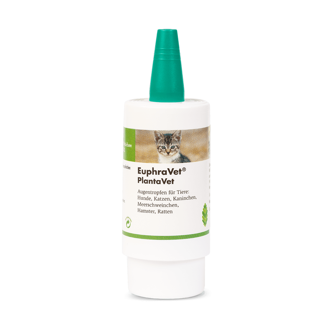 EuphraVet® PlantaVet -  Pumpspender Augentropfen mit Deckel