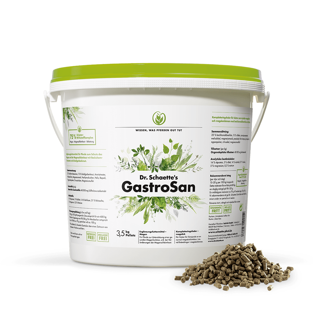 Dr. Schaette's GastroSan Eimer 3,5 kg