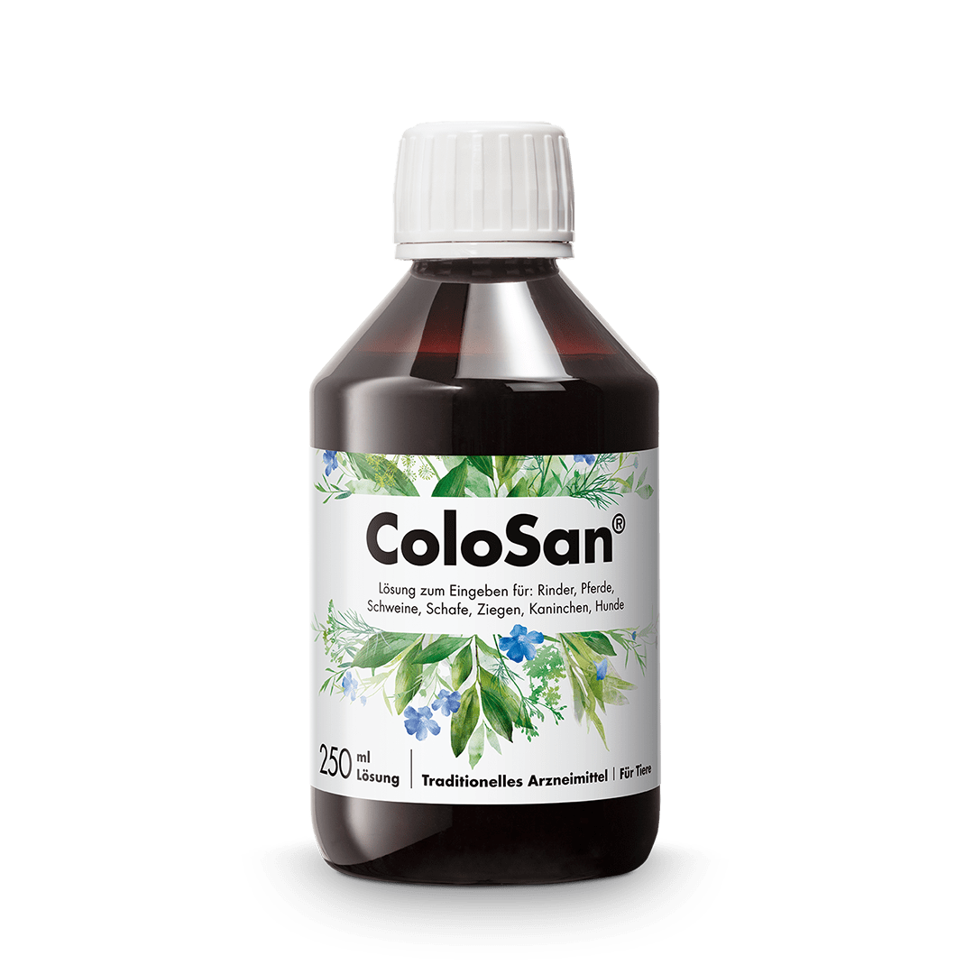 ColoSan® 250 ml in der Glasflasche