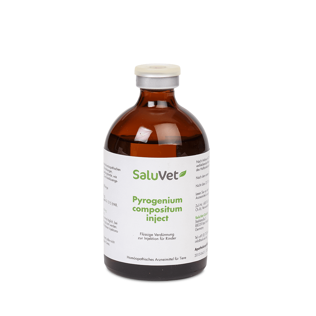Pyrogenium compositum inject - 3 x 100 ml - Flasche
