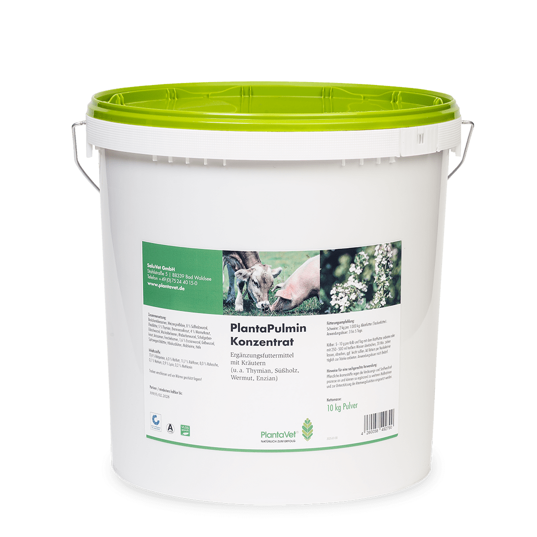 PlantaPulmin Konzentrat Eimer 10 kg