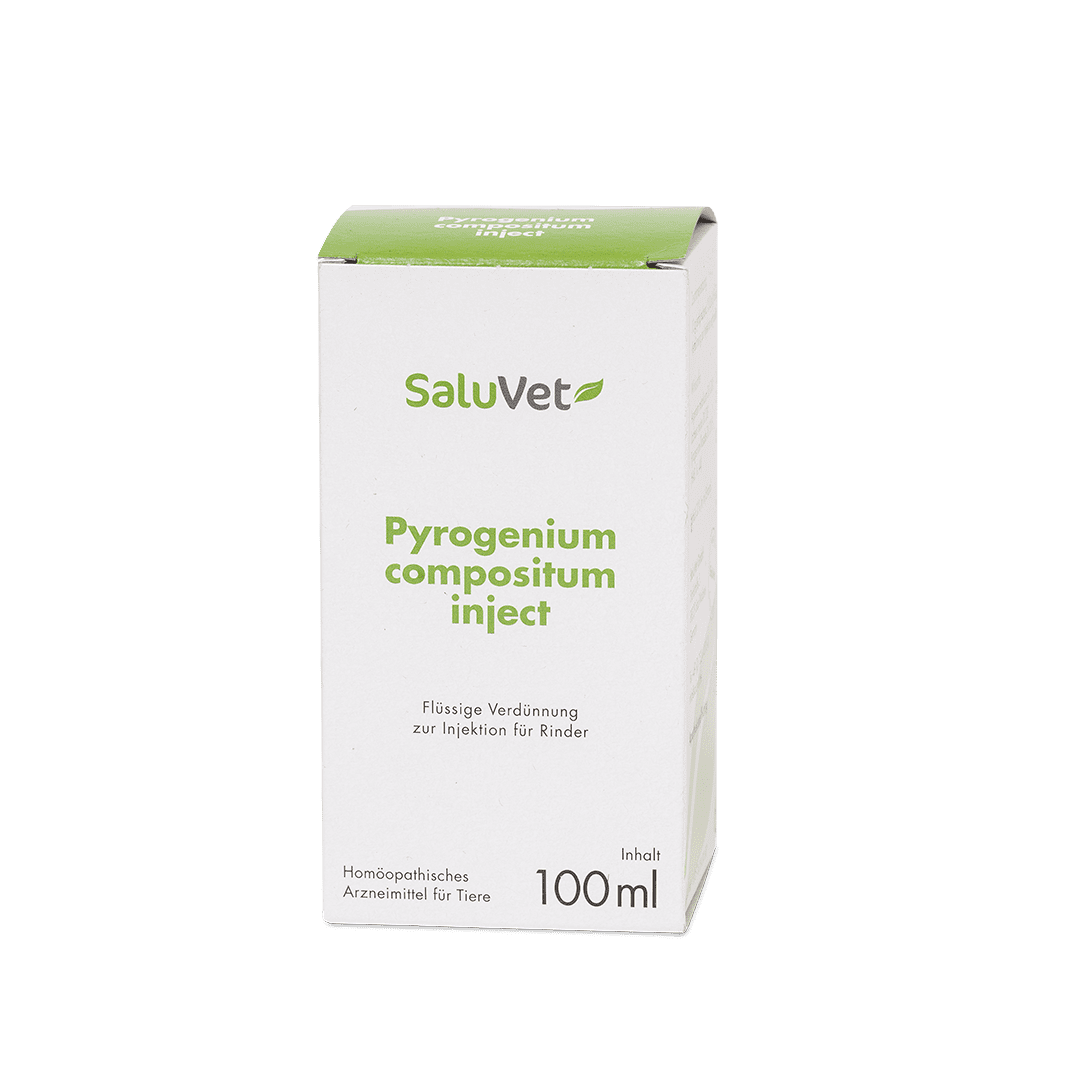 Pyrogenium comp. inject - Durchstechflasche -Verpackung