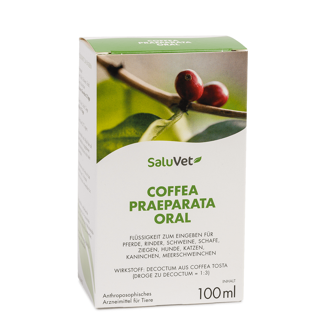Coffea praeparata oral - Verpackung