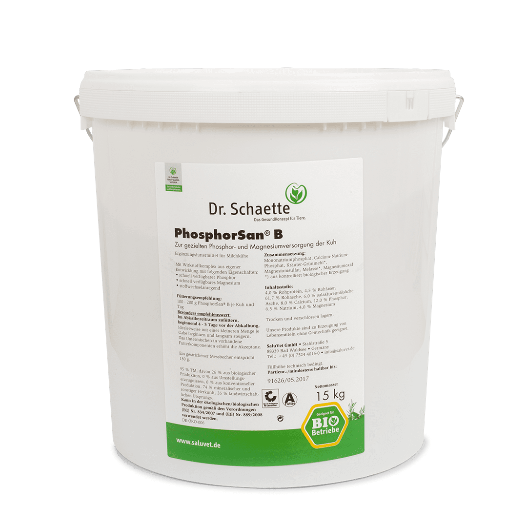 PhosphorSan® B 15 kg Eimer