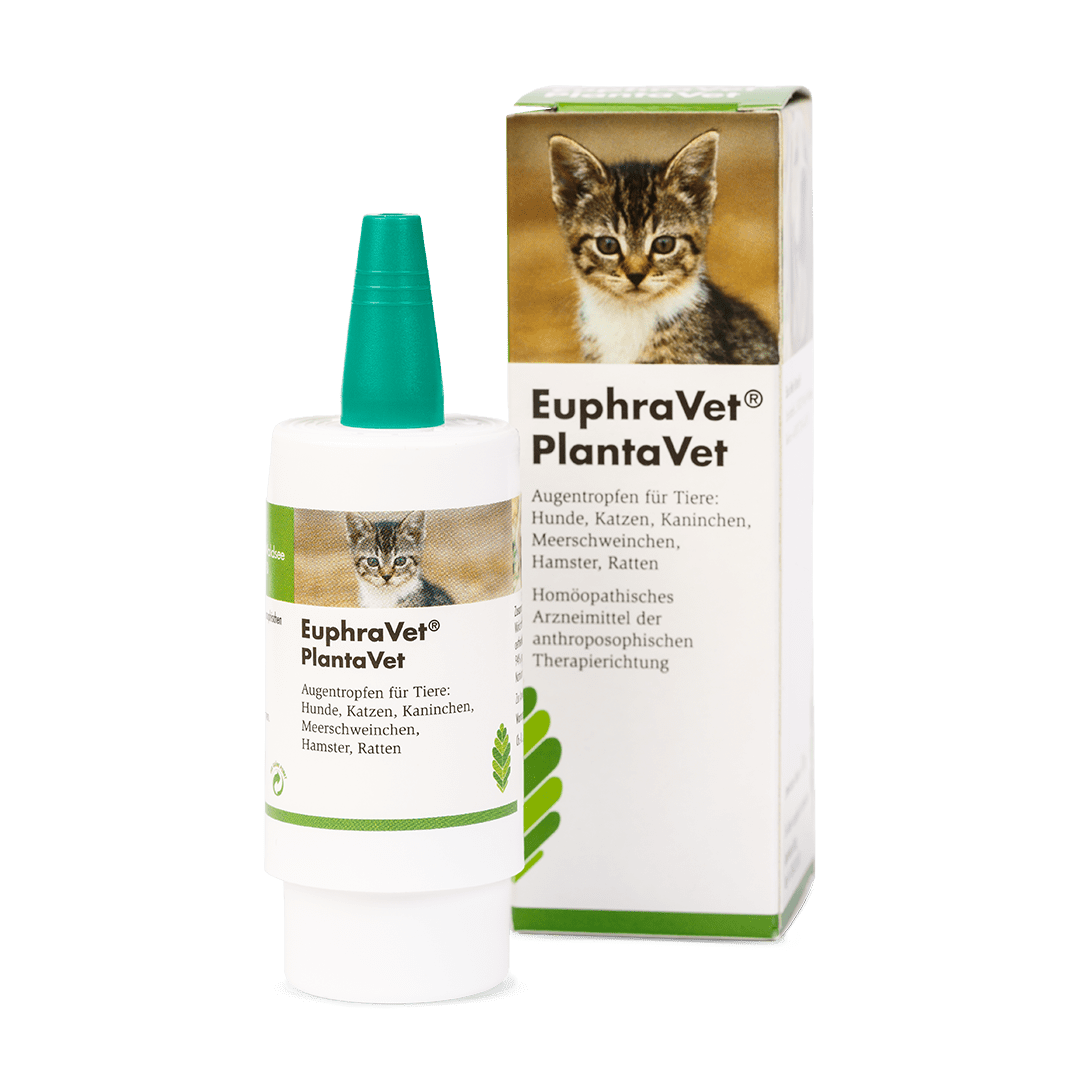 EuphraVet® PlantaVet -  Pumpspender Augentropfen