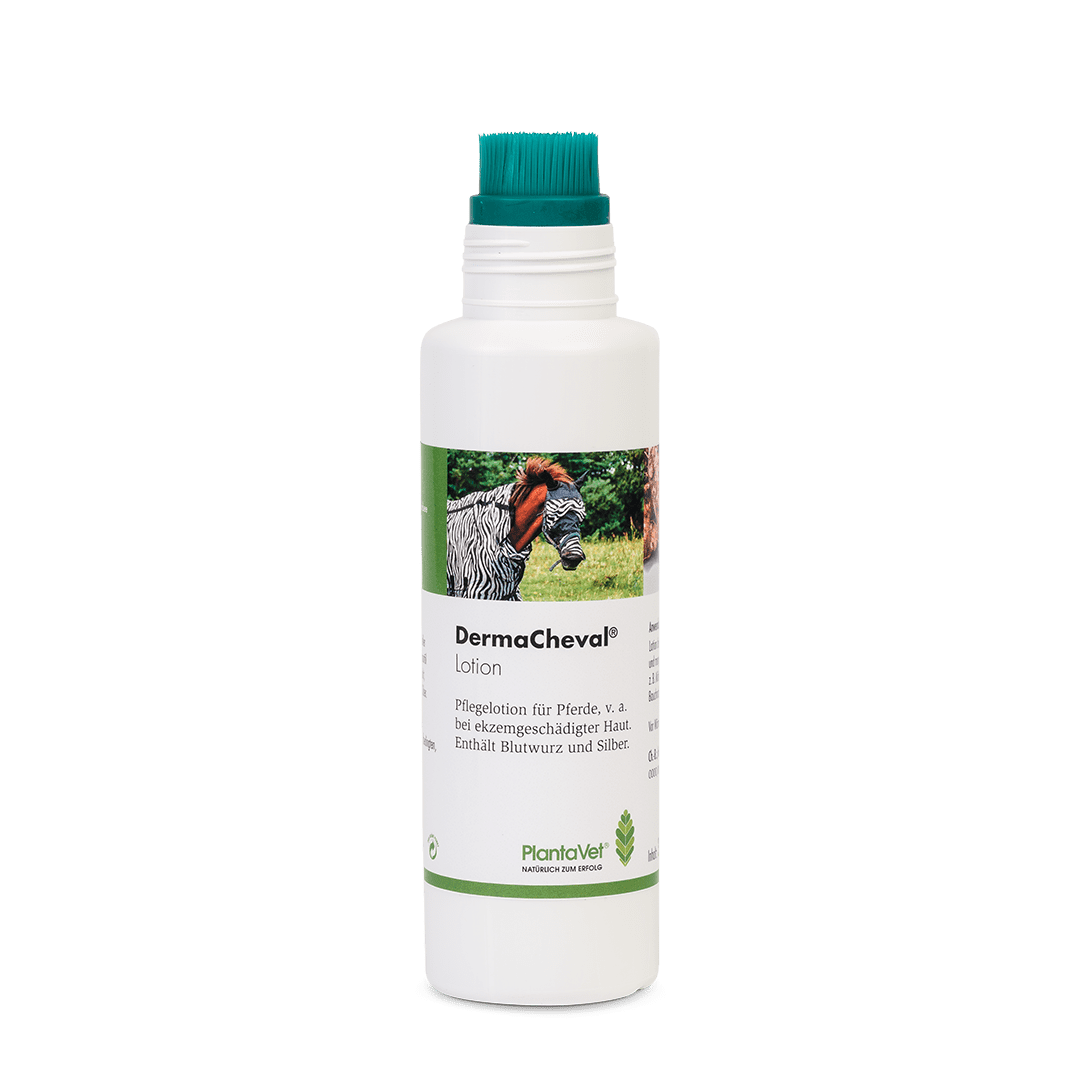 DermaCheval® Lotion - Bürstenflasche