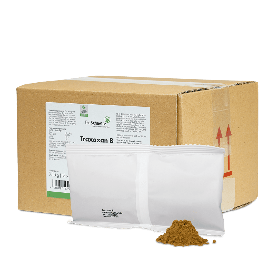 Karton und Beutel Traxaxan B 50 g mit Inhalt