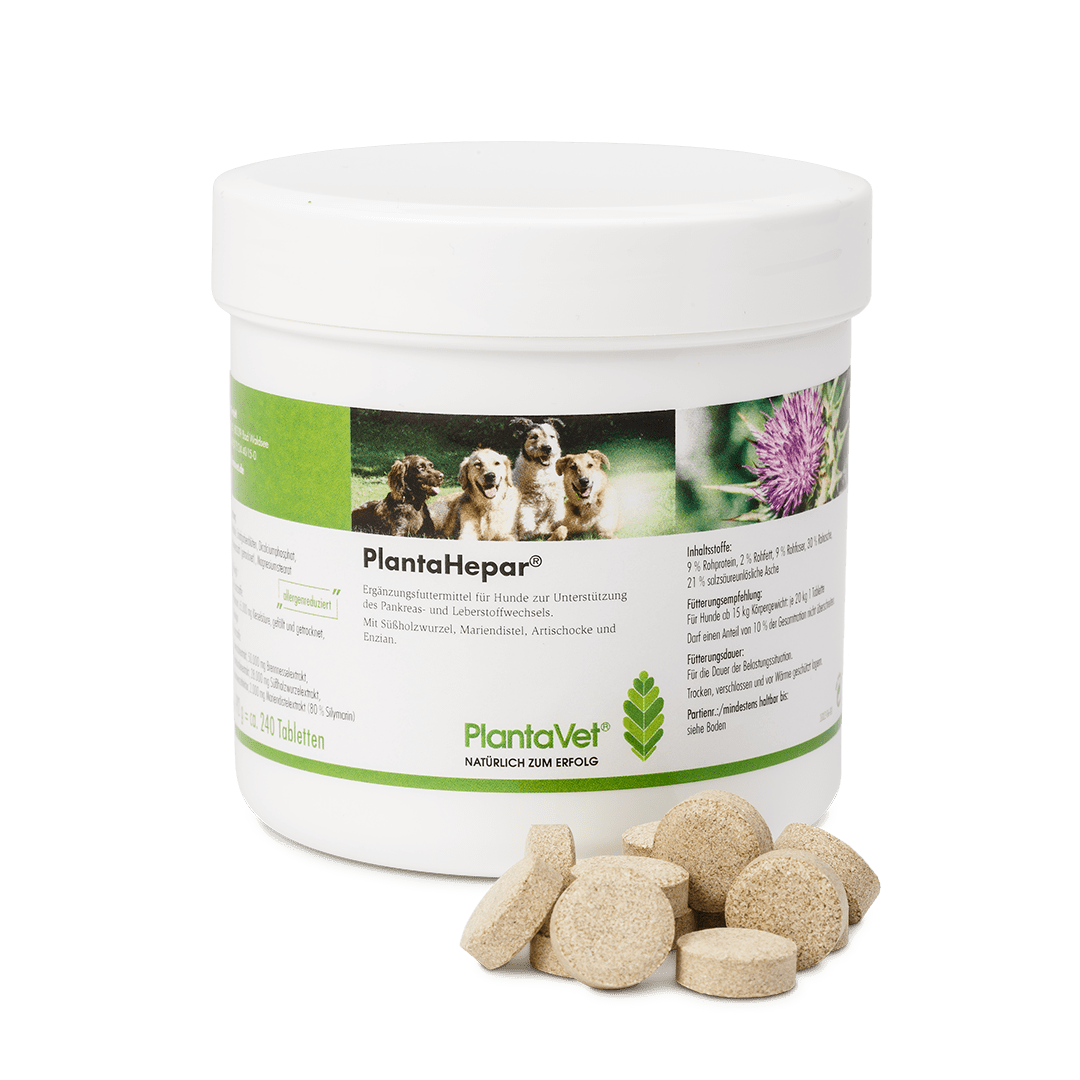PlantaHepar® - 800 mg Tabletten - 240 Stck - Dose