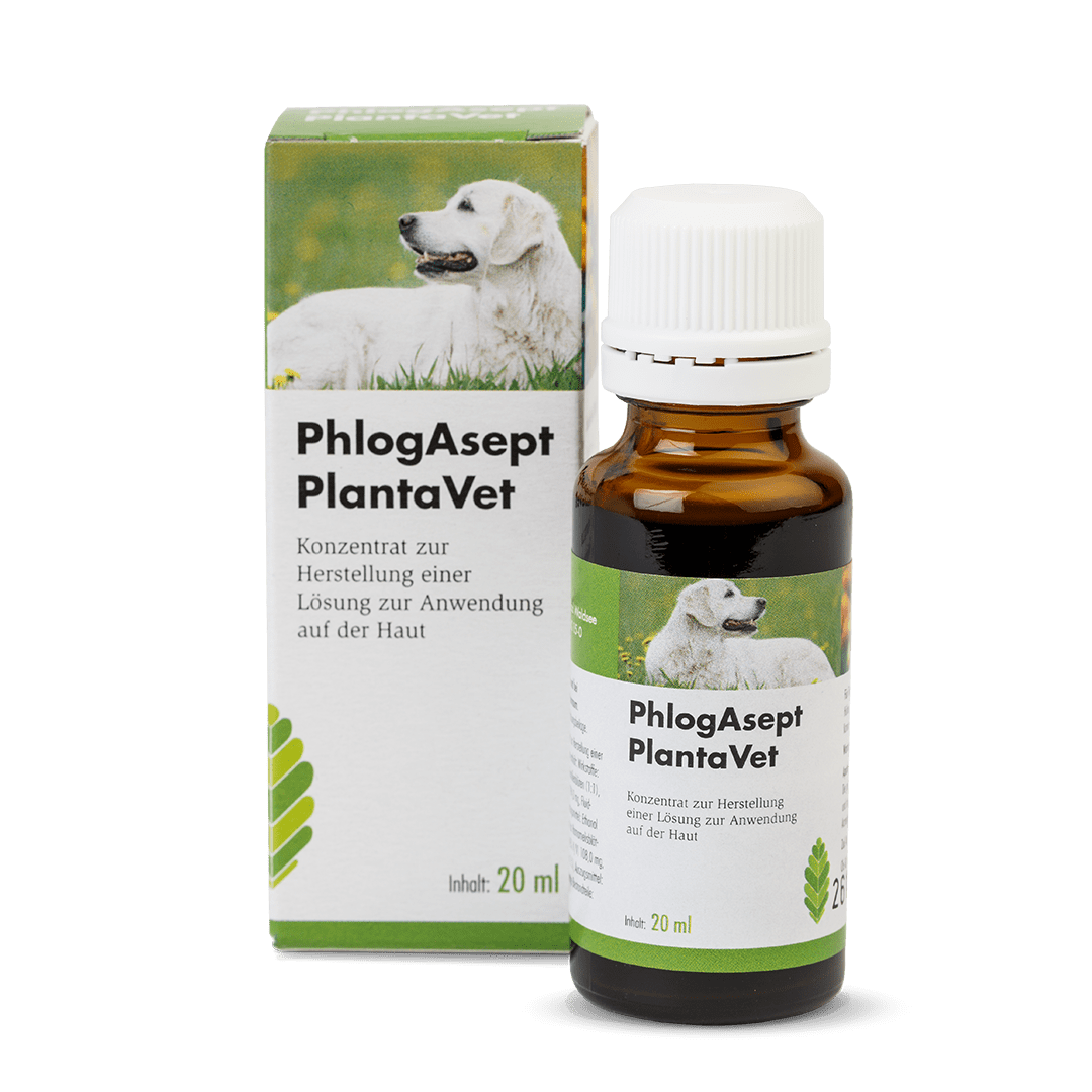 PhlogAsept® PlantaVet - Flasche 20 ml  mit Lueradapter mit Verpackung