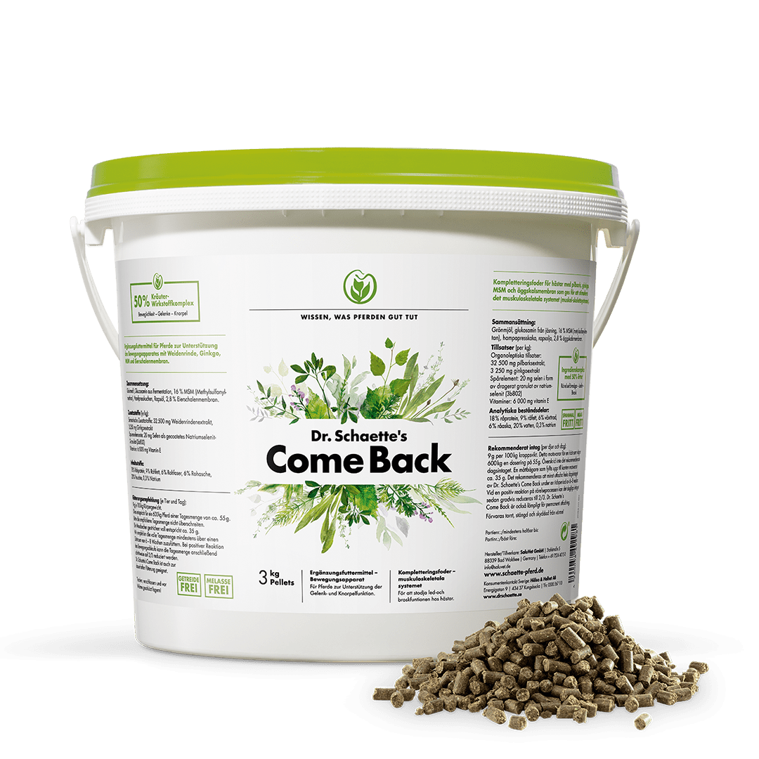 Dr. Schaette´s Come Back 3 kg