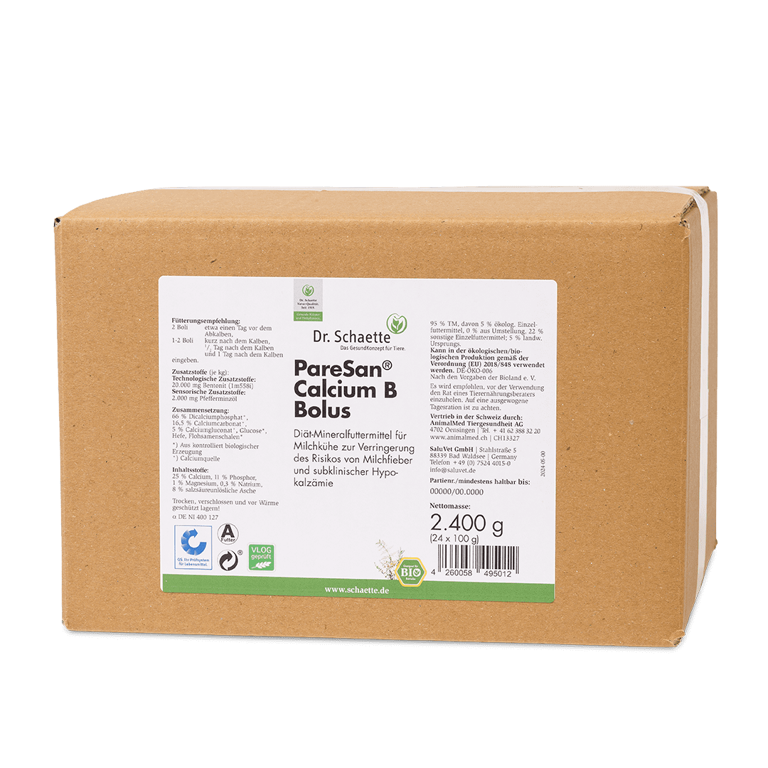 PareSan® Calcium B Bolus 24 x 110 g