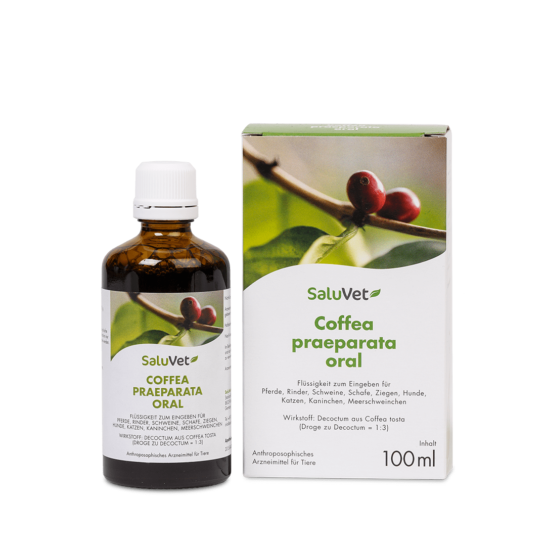 Coffea praeparata oral - 3 x 100 ml