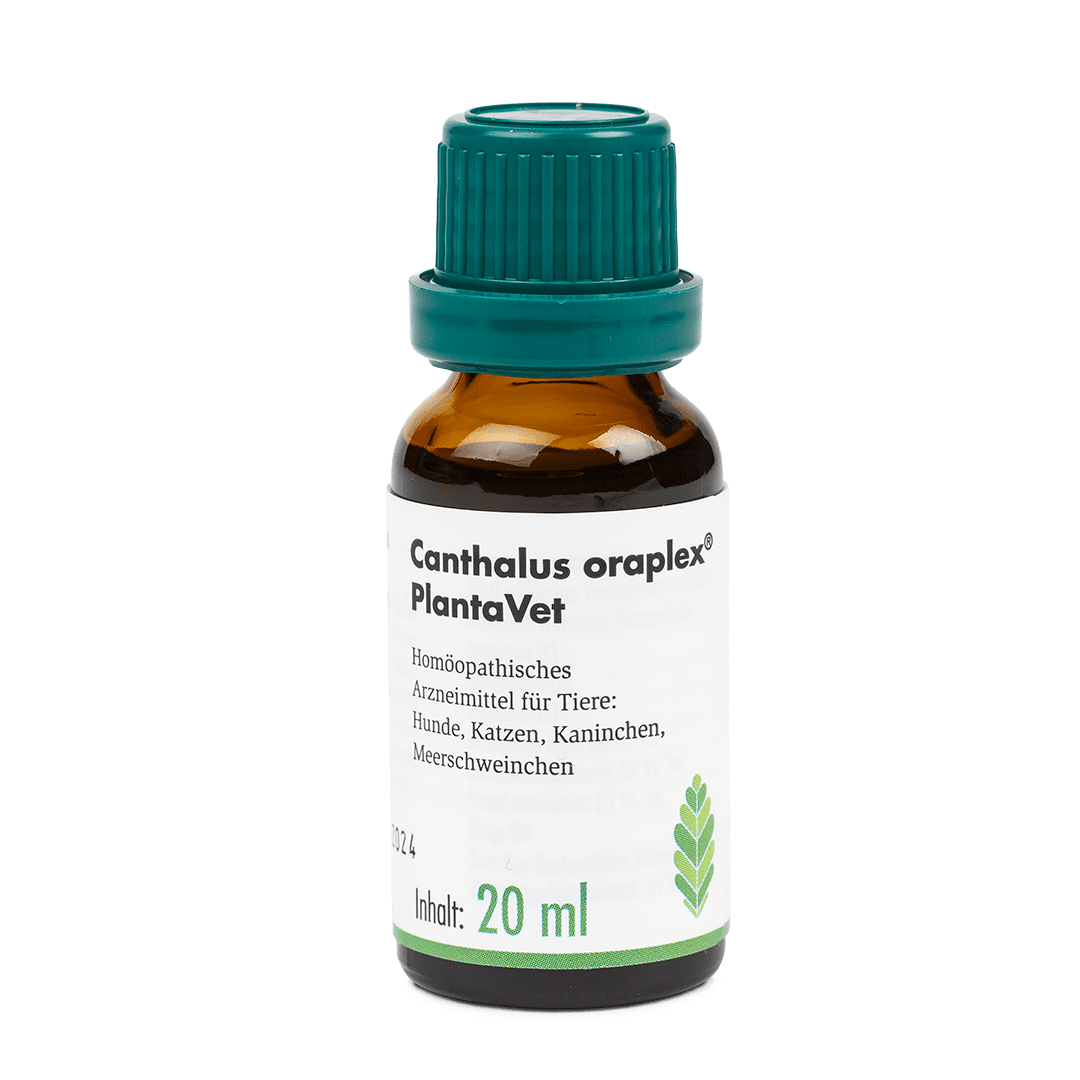 Canthalus oraplex® PlantaVet - Tropfflaschen