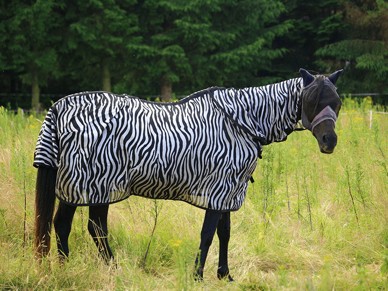 Zebrastreifen irritieren Insekten