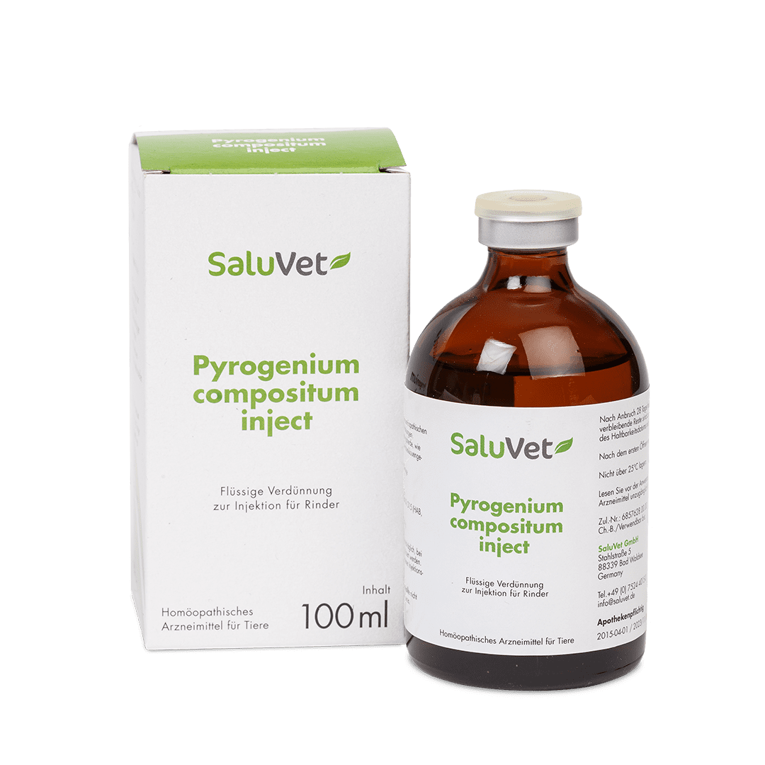 Pyrogenium comp. inject - Durchstechflasche mit Verpackung