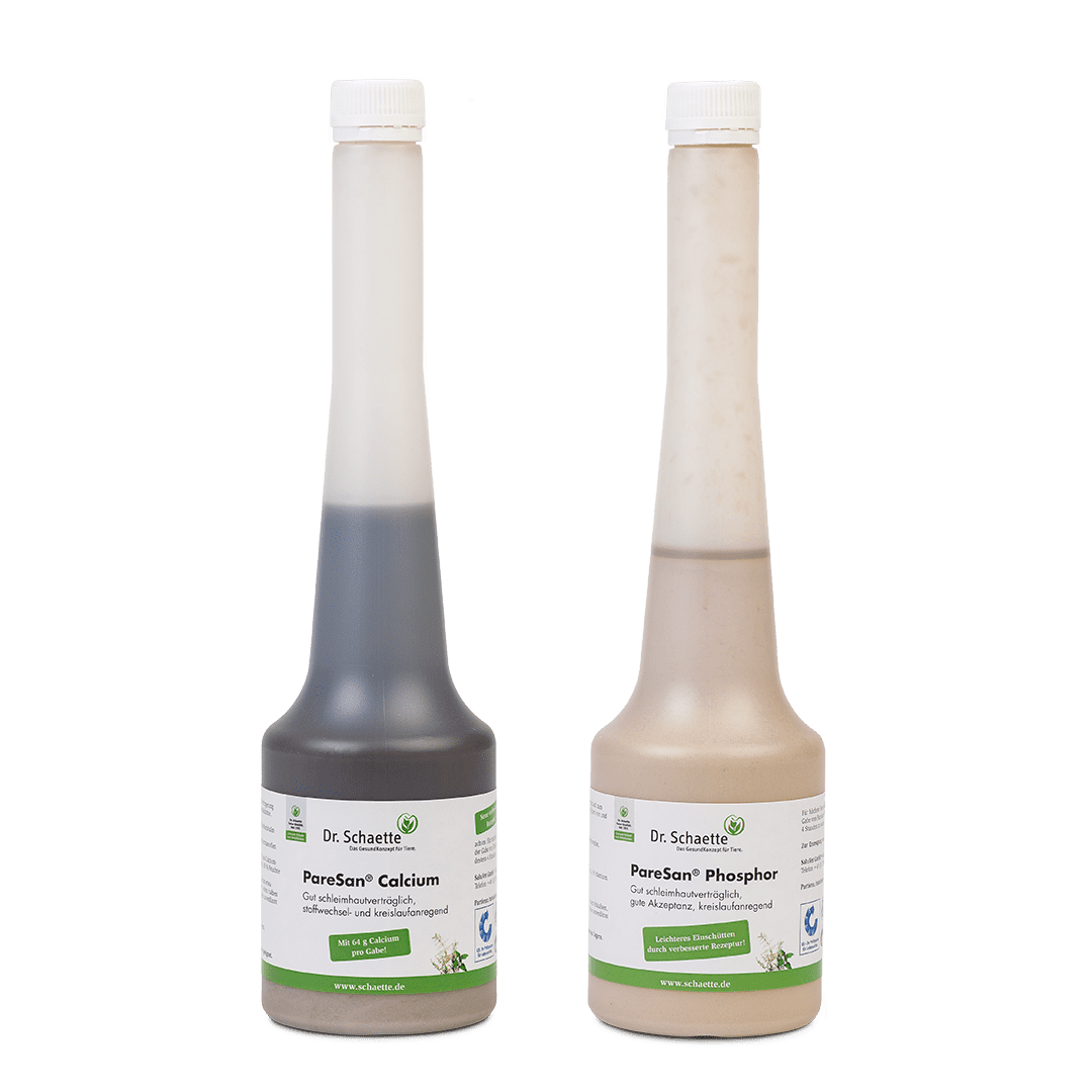 PareSan® Calcium + PareSan® Phosphor Flasche