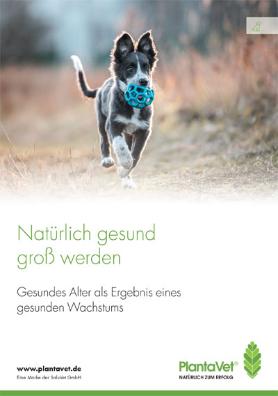 Kundenbroschüre „Natürlich gesund groß werden“
