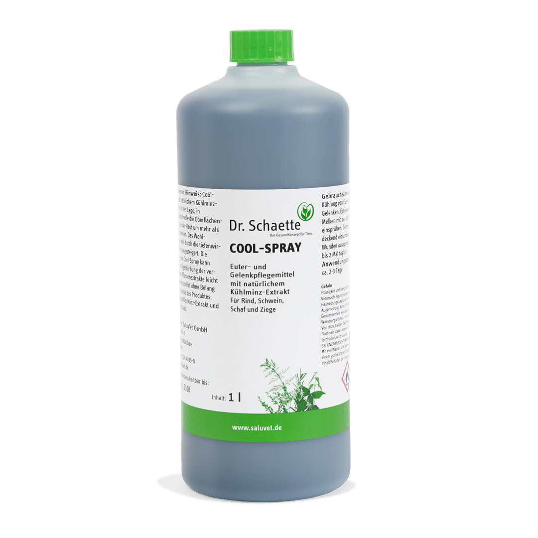 CoolSpray 1 l Nachfüllflasche inkl. Sprühkopf