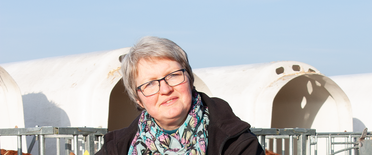 „Von ColoSan® bin ich überzeugt. Es hilft unseren Kälbern zuverlässig und schnell.“