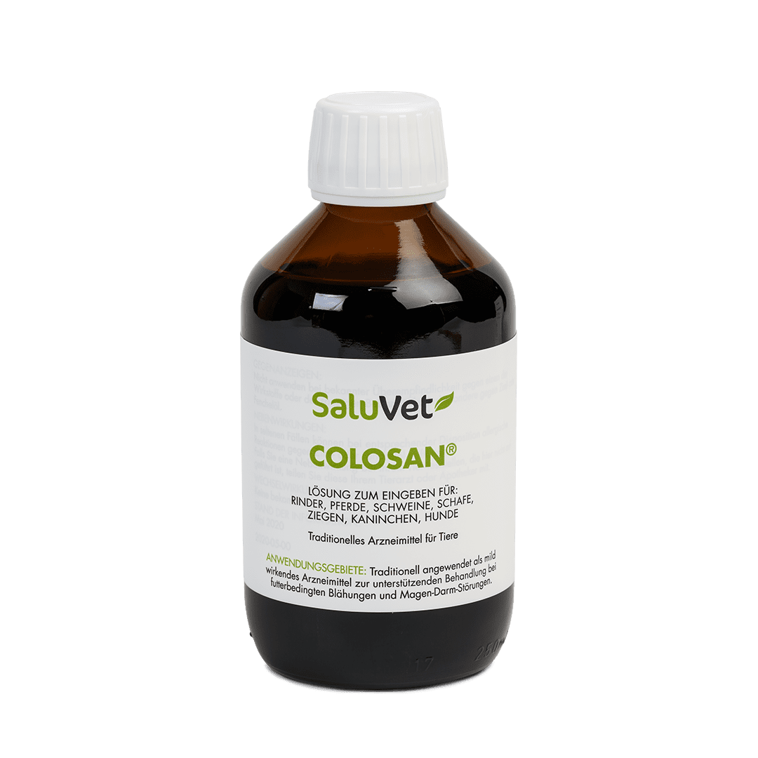 ColoSan® 250 ml (flüssig) 