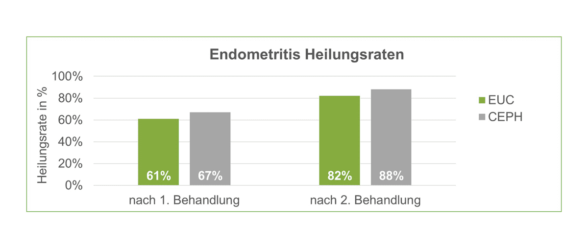 Heilungsrate