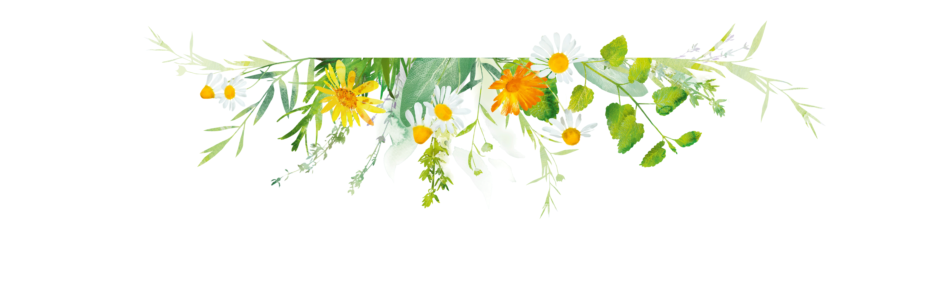 Blumenstern Dekoration